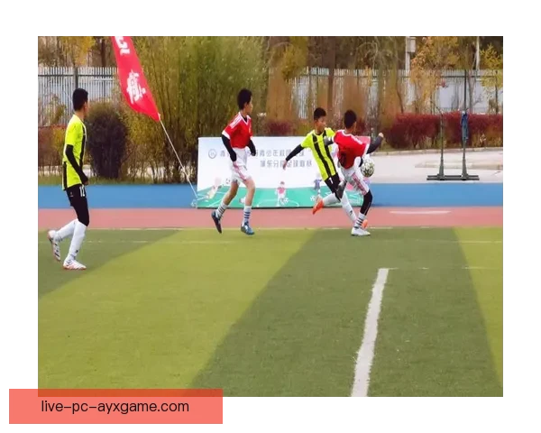 聚焦十四全运会足球赛事直播见证青春力量与荣耀时刻激情绽放全国瞩目